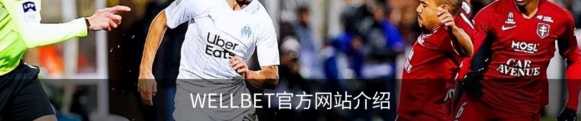 WELLBET官方网站介绍